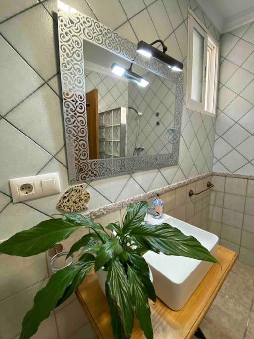 La Casa Del San Anton Villa Níjar Eksteriør bilde